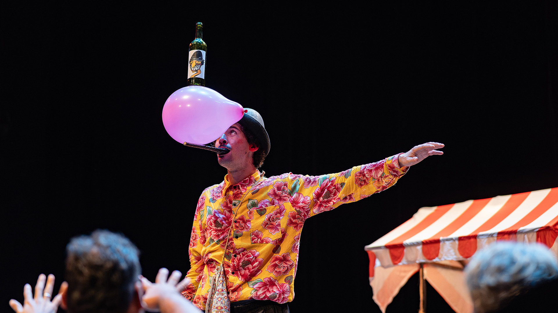 image of audience enjoying entertainment