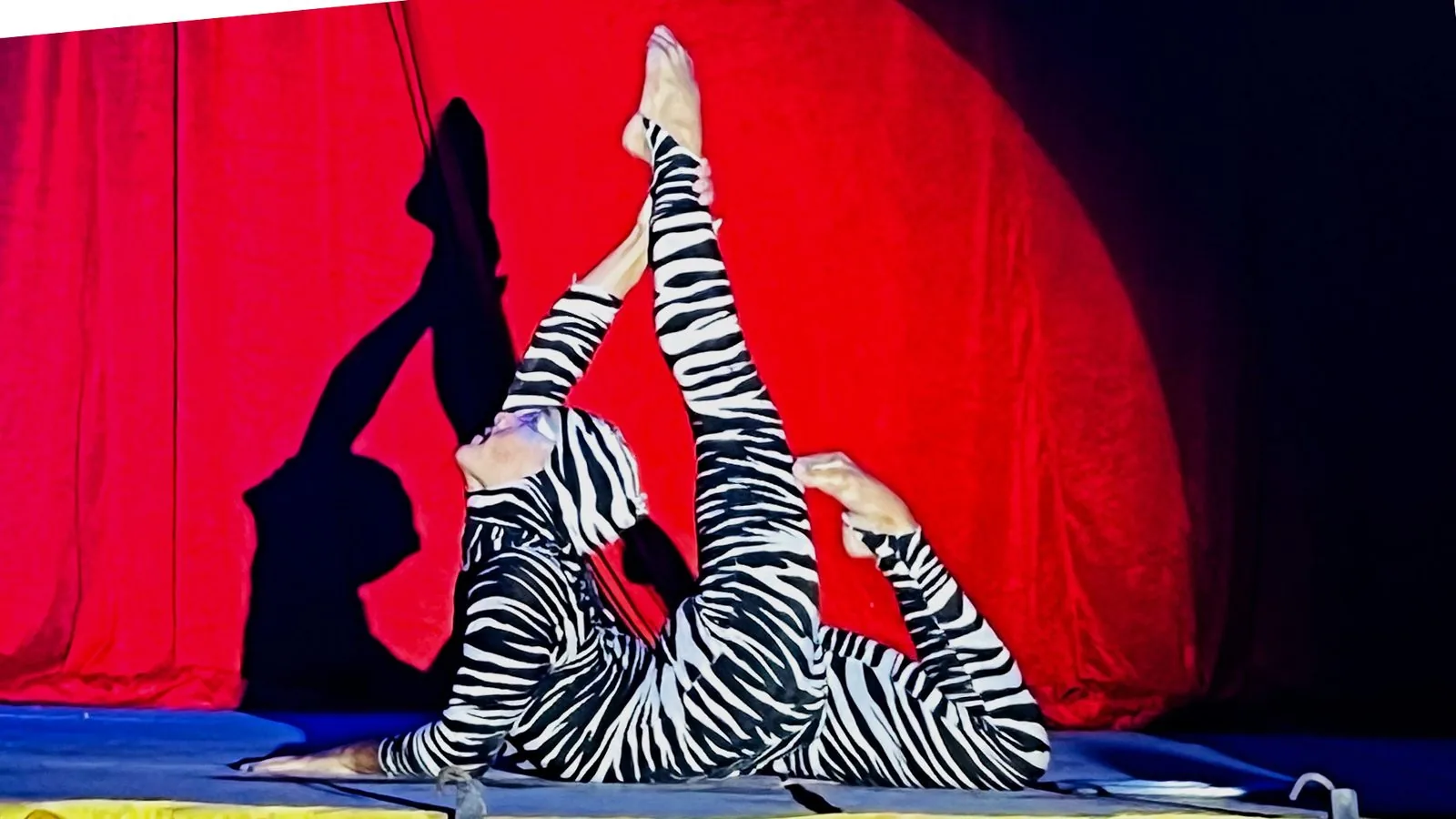 Guilherme Mendes em cena: contorcionista em macacão zebrado equilibra as pernas abertas acima da cabeça, diante de cortina vermelha.