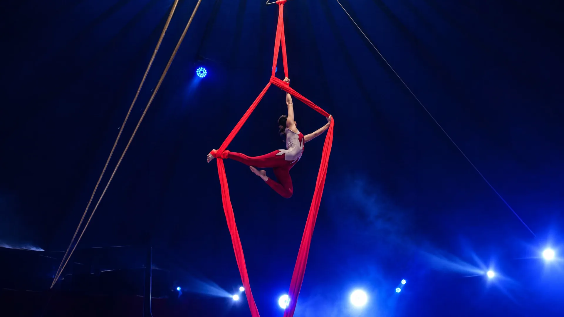 Lara Regina suspensa em tecido acrobático vermelho sob o picadeiro iluminado por refletores azuis, em posição de abertura de pernas